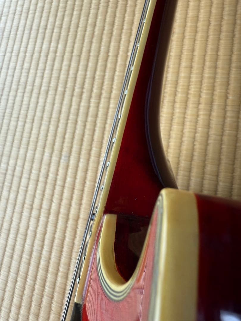 アリアプロ2 レスポールタイプ　3ハム