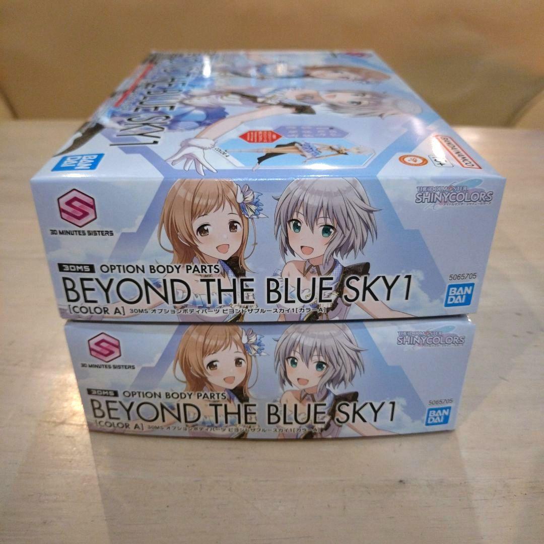 30MS 園田智代子/社野凜世く ビヨンドザブルースカイ オールインワン