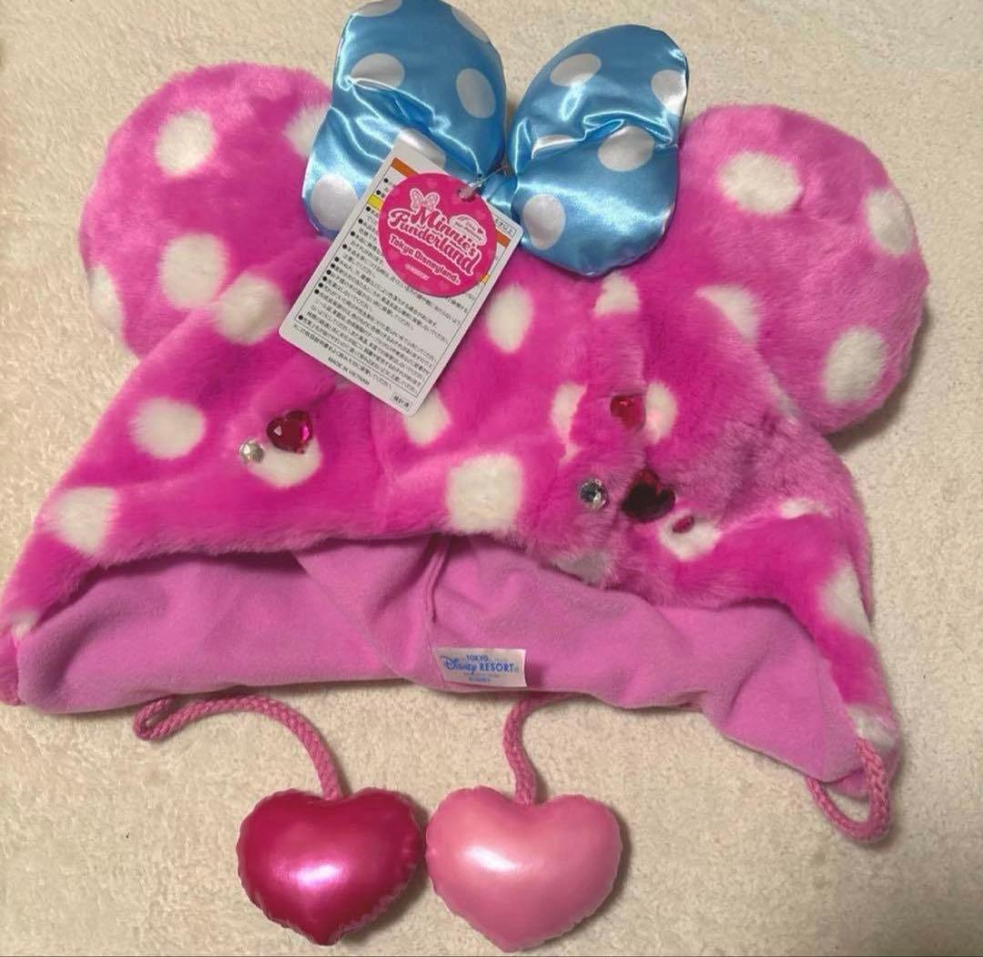 ディズニー パルパルーザ2026 ミニーのファンダーランド ファン