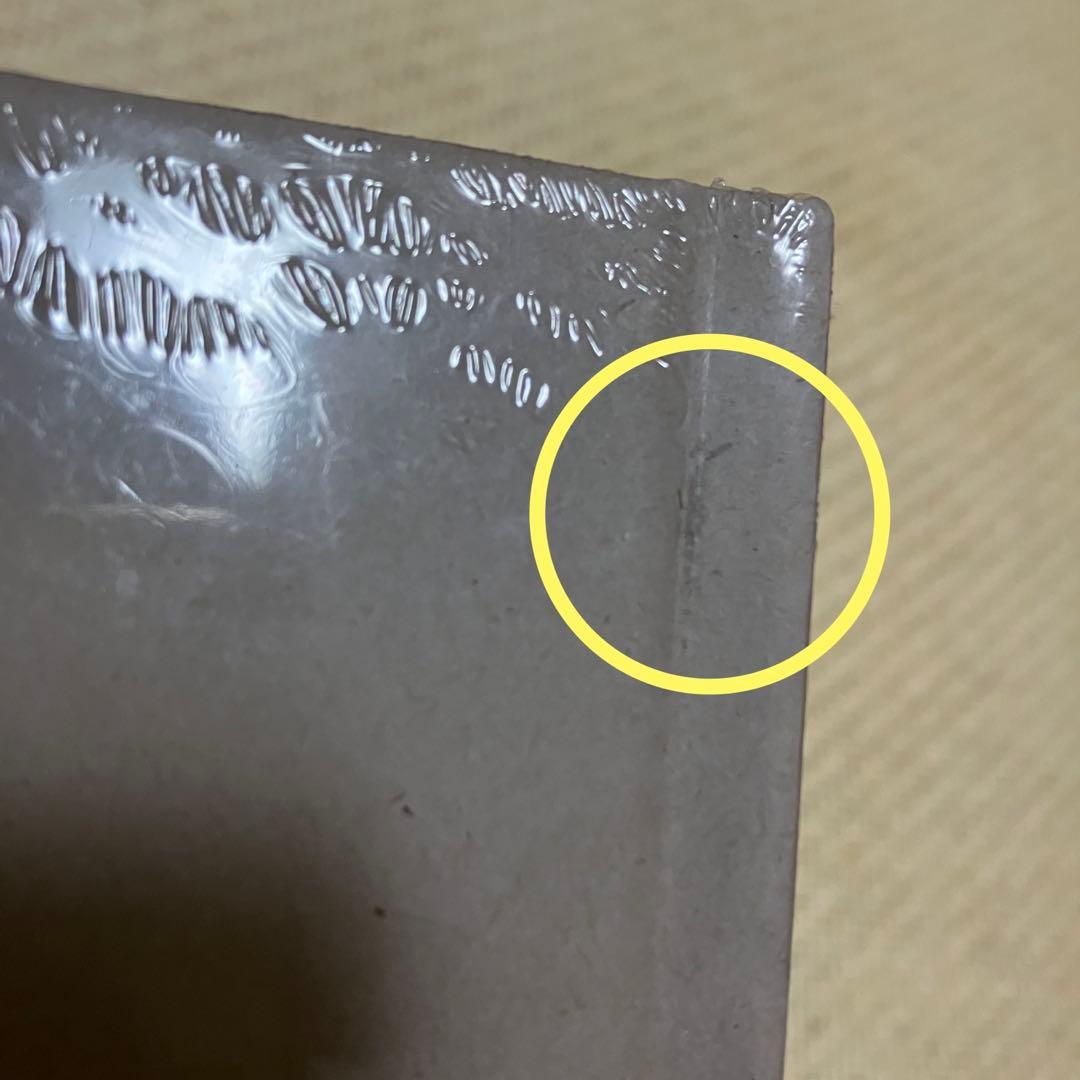 山荷葉 산하엽 ジョンヒョン