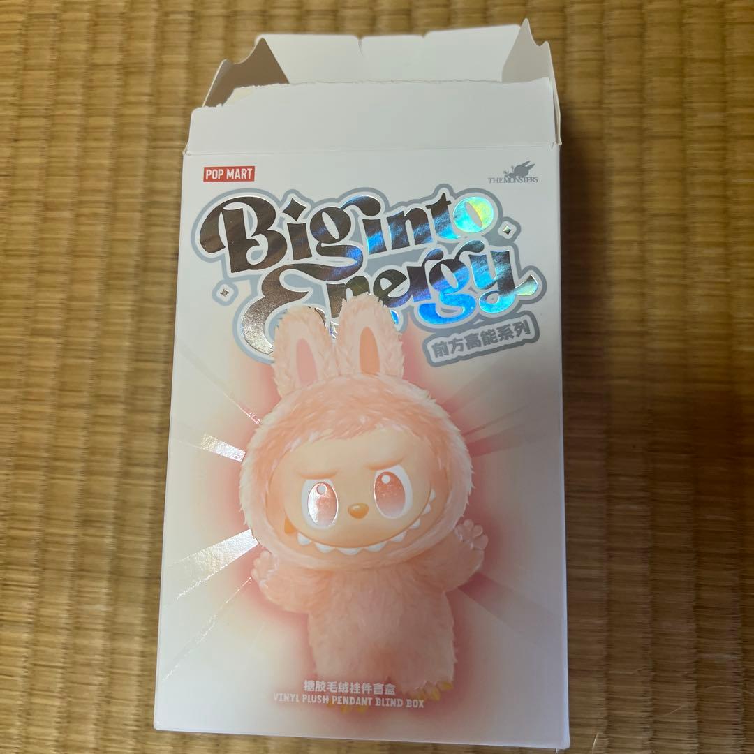 R*✨様 【正規品】Labubu Big into Energy ラブブ シーク