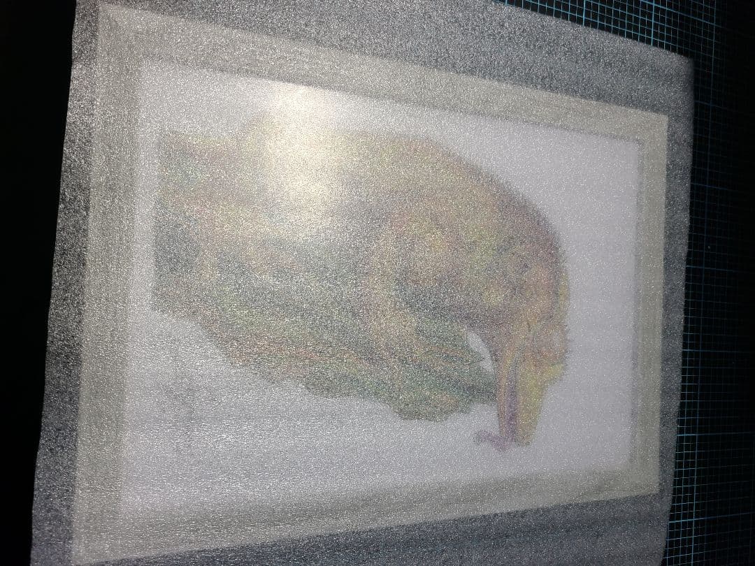 【クレステッドゲッコー】自作　額縁入り　B5