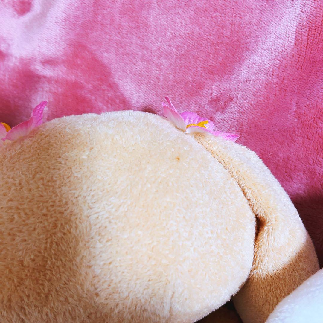 希少レア　シナモロール　モカ　サマードール　ぬいぐるみ　2005 サンリオ