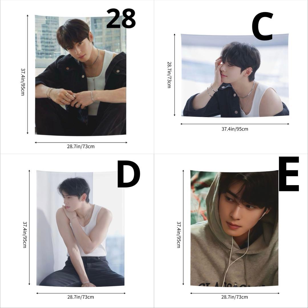 チャウヌタペストリー1〜 ASTRO