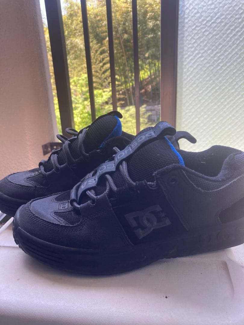 スケートボード Dc shoes lynx og