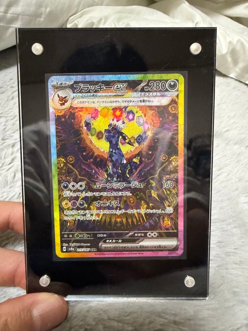 ブラッキー ex Sar