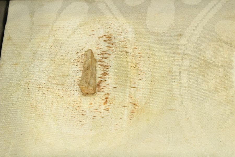 螺鈿 三つ葉葵 徳川紋 鍔 箱(K-LC769) - メルカリ