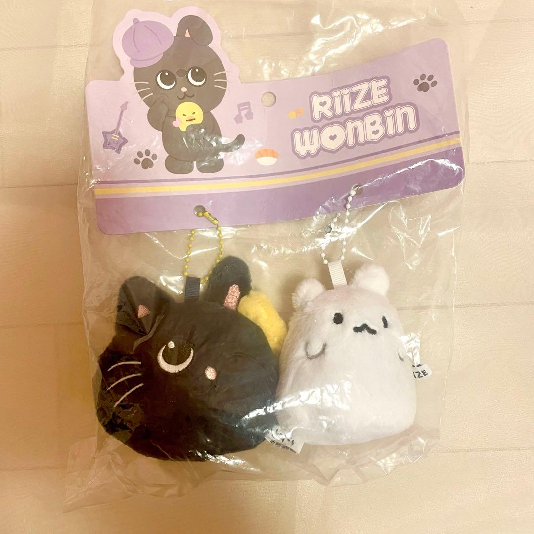 オンライン ストアゲーム・おもちゃ・グッズ - RIIZE ウォンビン