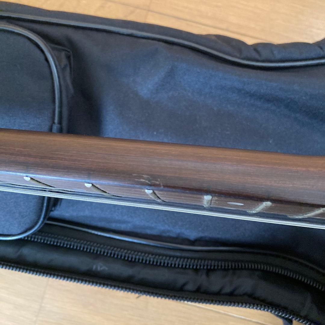 Bacchus BTE-TW テレキャスター エレキギター ソフトケース付き