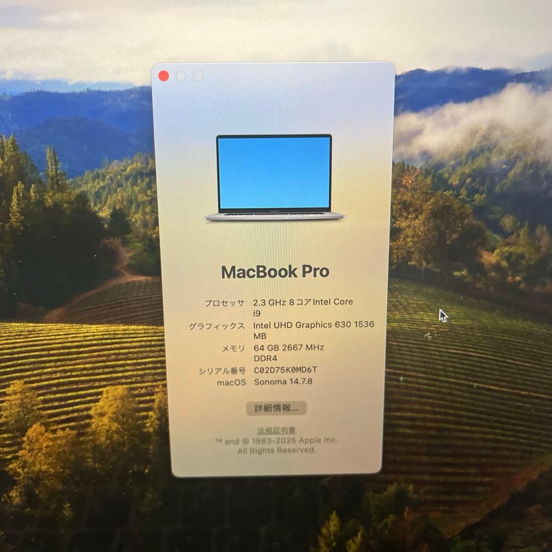 MacBookPro16,1 SSD1TB RAM64GB i9ほぼ限界スペック