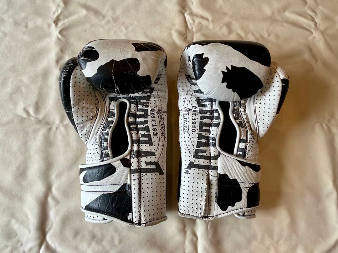 EVERLAST× Vulture / ボクシンググローブ12oz / 別注