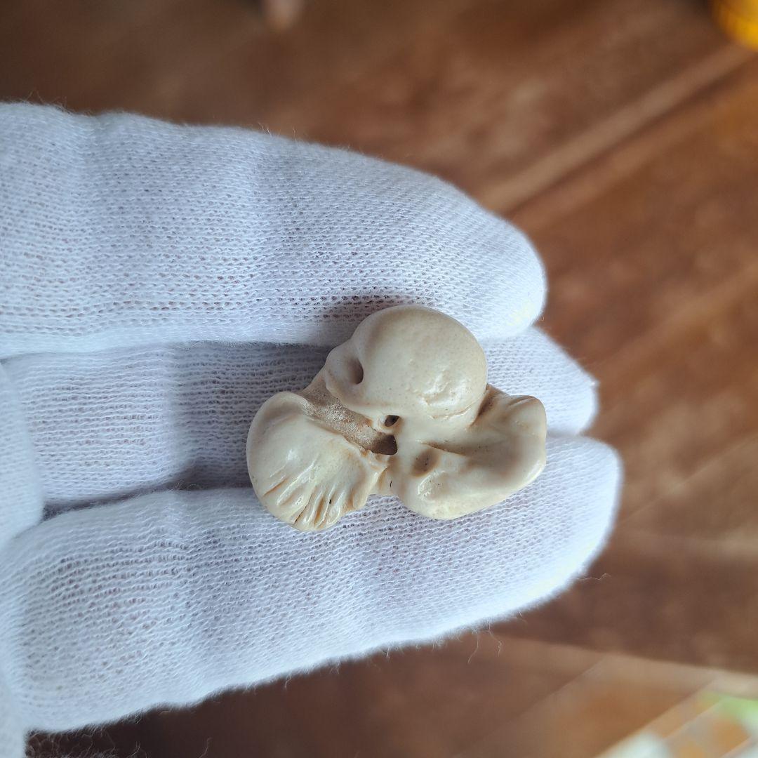 イルカの耳骨【大きさ2.7㎝ ③】 - メルカリ