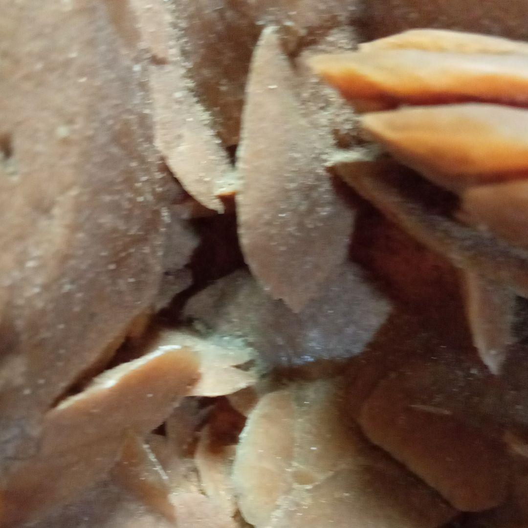 サハラのバラ サハラ砂漠 化石 2660グラムを超える特大標本！サハラ