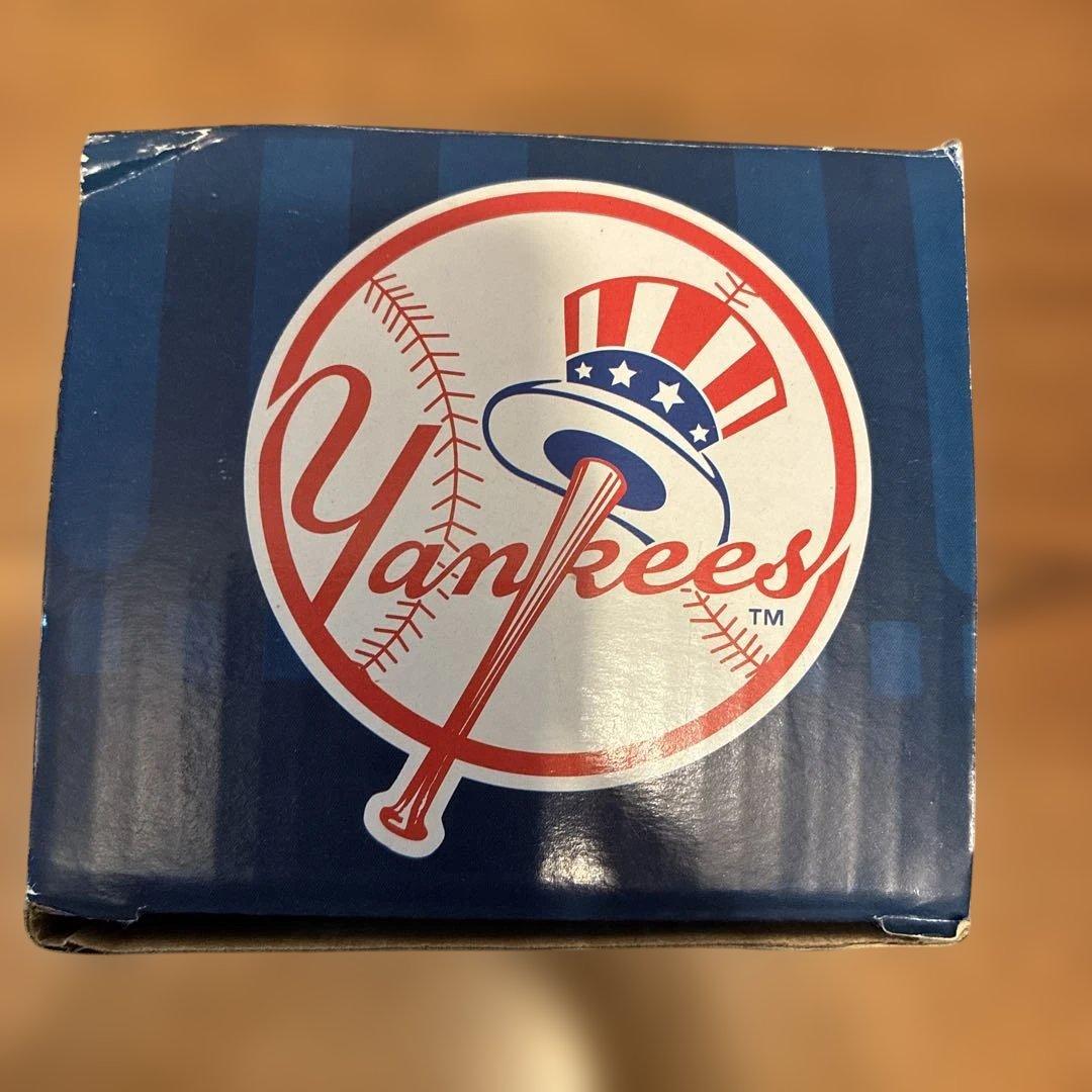 DIDI GREGORIUS ボブルヘッド コレクション#3