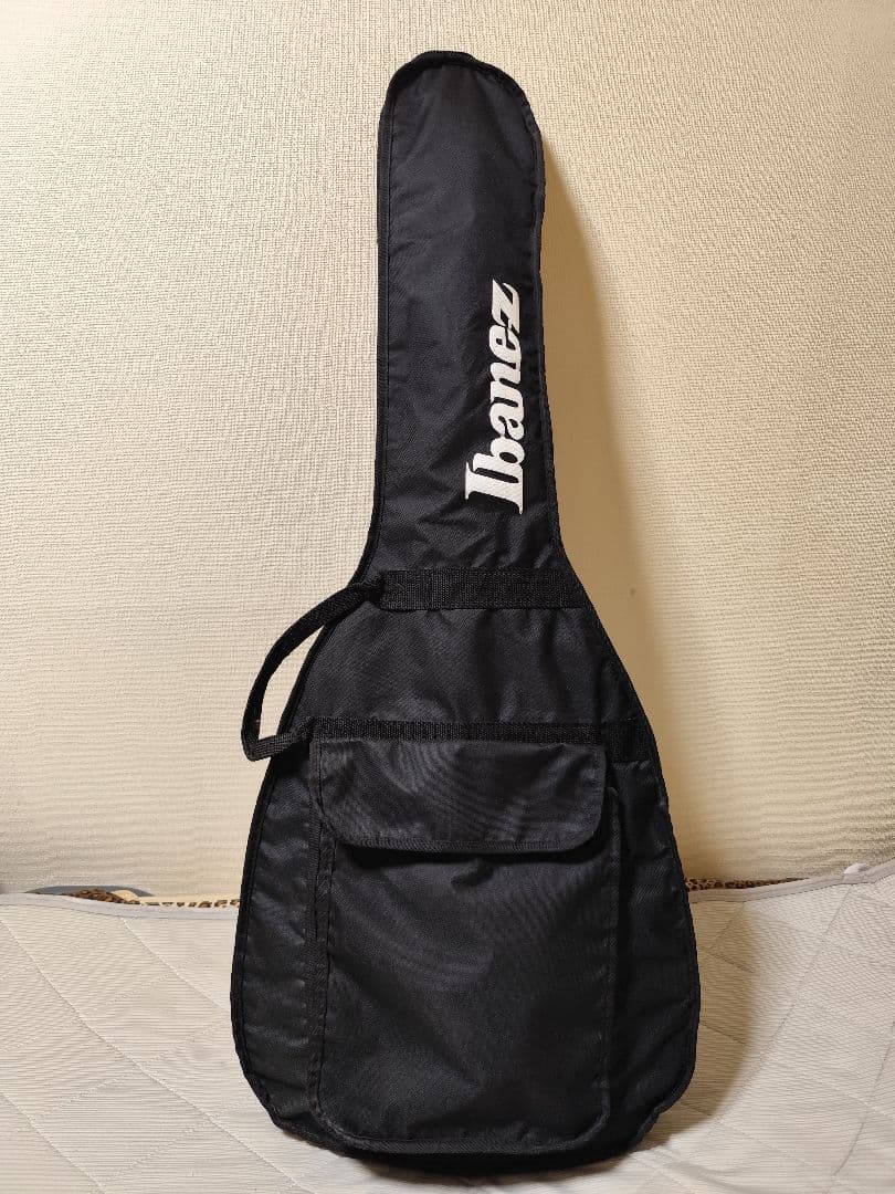 Epiphone Dot Studio/2003年製/ソフトケース付