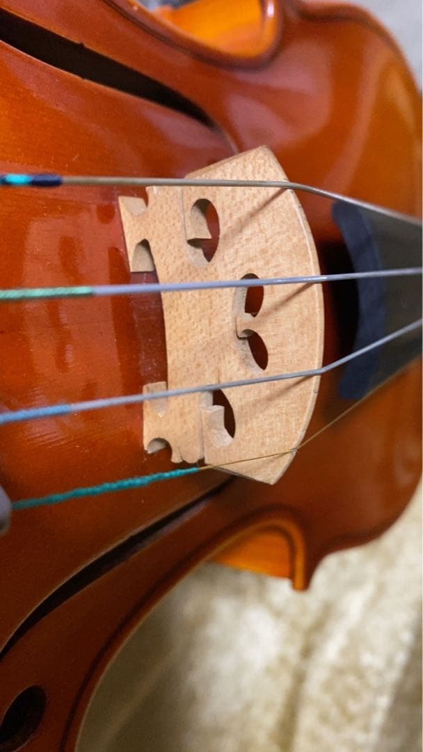 鈴木バイオリン　NO.300 4/4