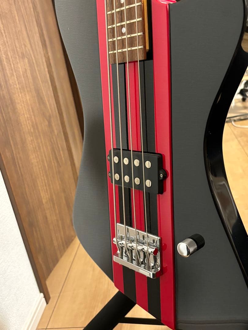 10FEET ナオキモデル ベース バーニー - メルカリ