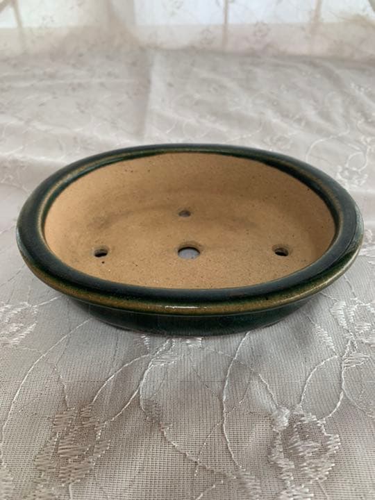 黎鳳　楕円　織部　盆栽鉢