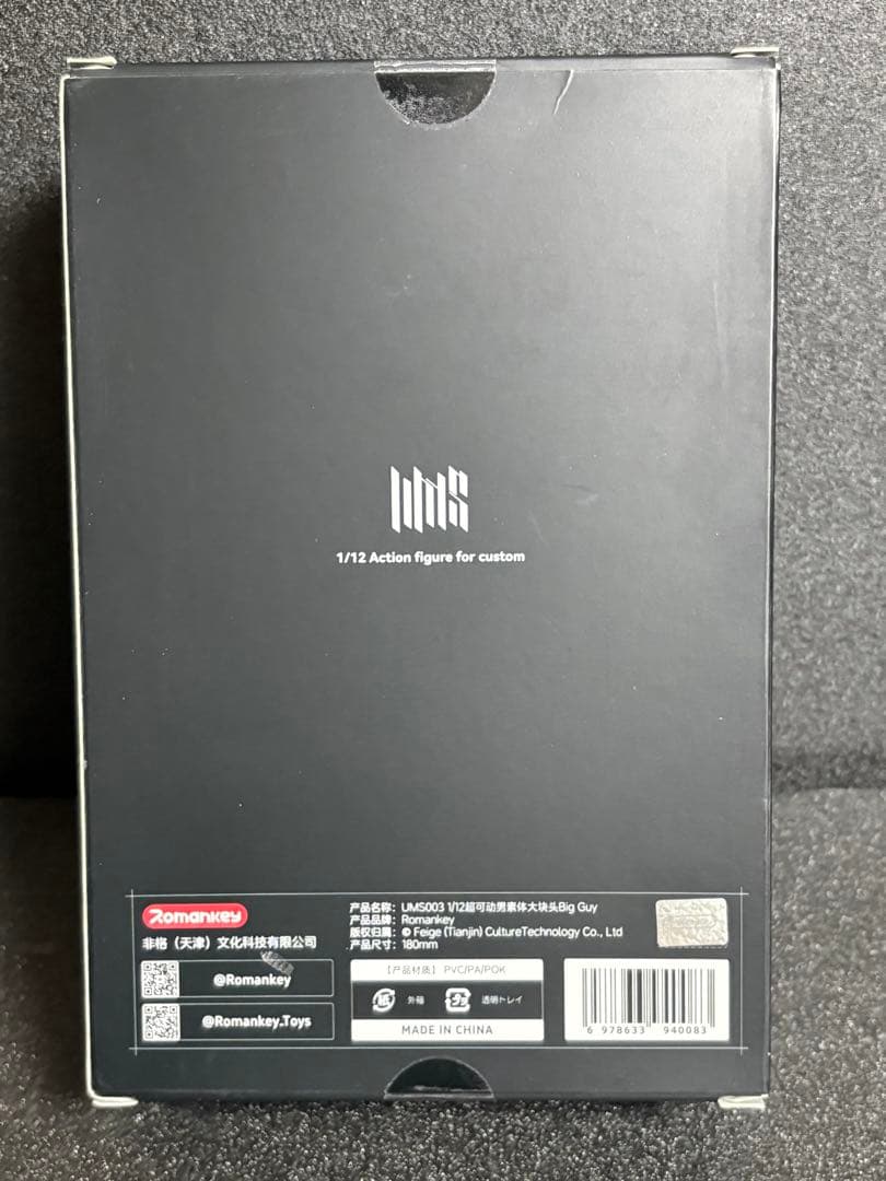 Romankey Big Guyノーマル & WINDTOYS 素体 ブラック