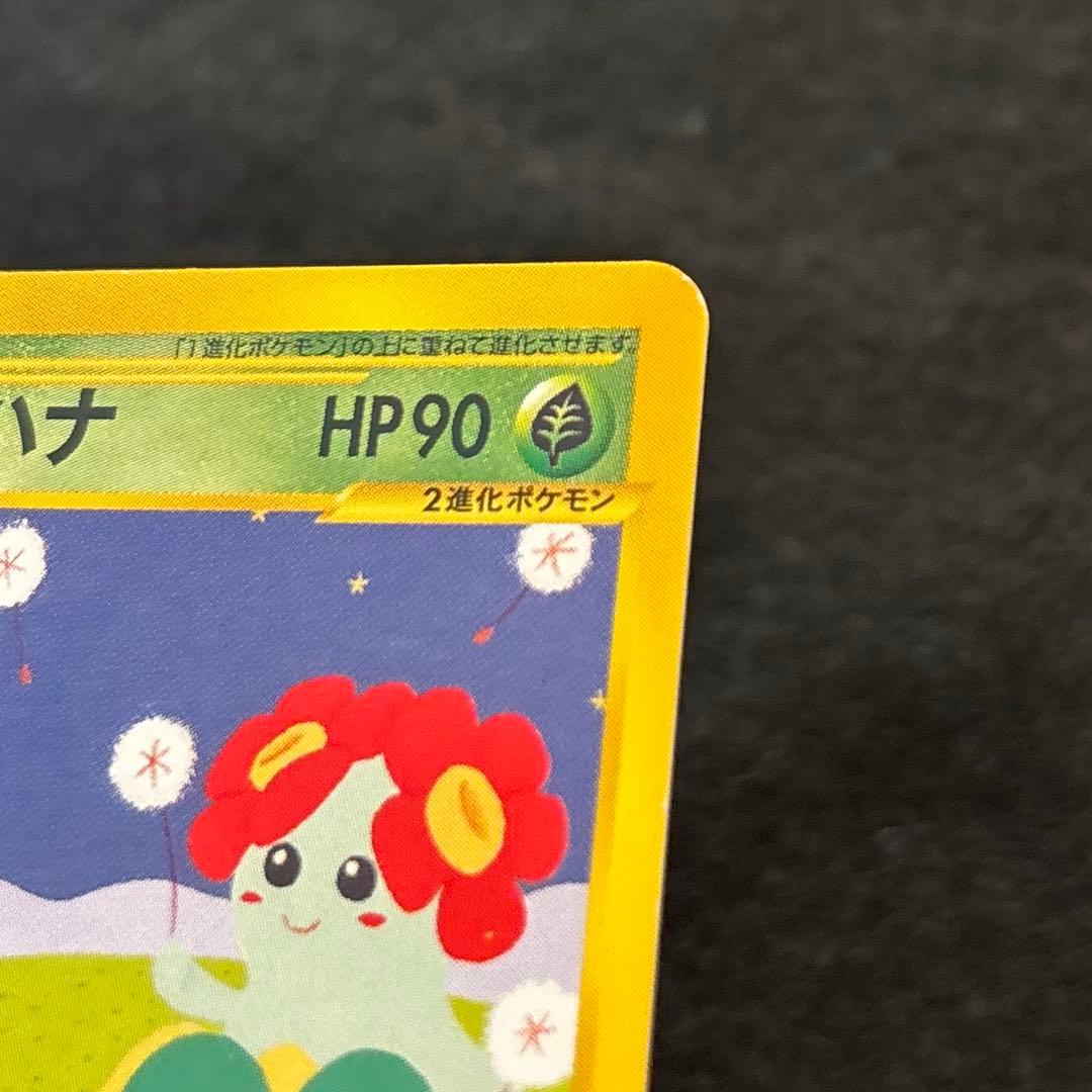 a*様 #ゆんの気まぐれオークション　（梅）　キレイハナ　2枚