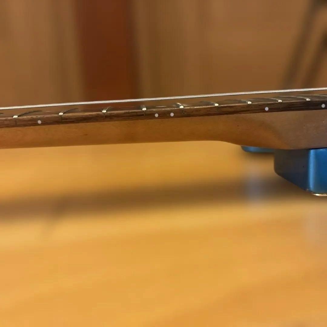 【ハルス】Bacchus Universe テレキャス ゴールドパーツ仕様