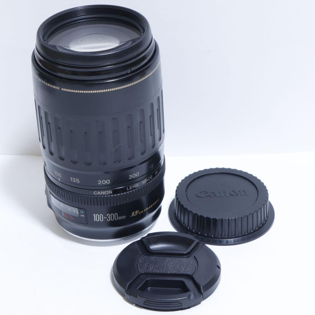 ◇超望遠&高速AF◇Canon純正 300mm 望遠レンズ!!◇ - メルカリ