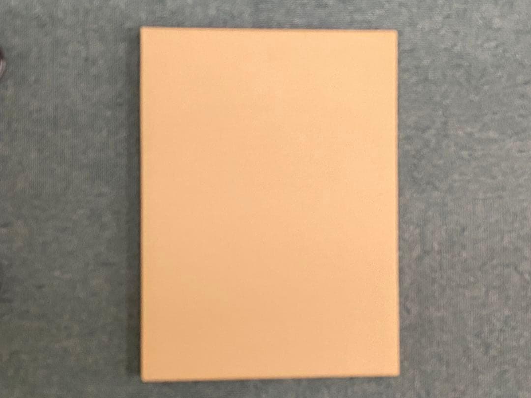 256枚限定 デジタルモンスター複製原画 デジタルモンスター A3 複製