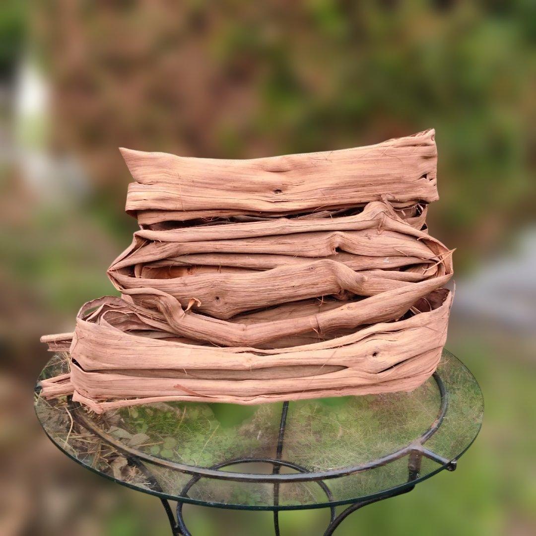 さーちゃん 青森岩木山産 山葡萄 皮 樹皮 約2kg+B品3kg