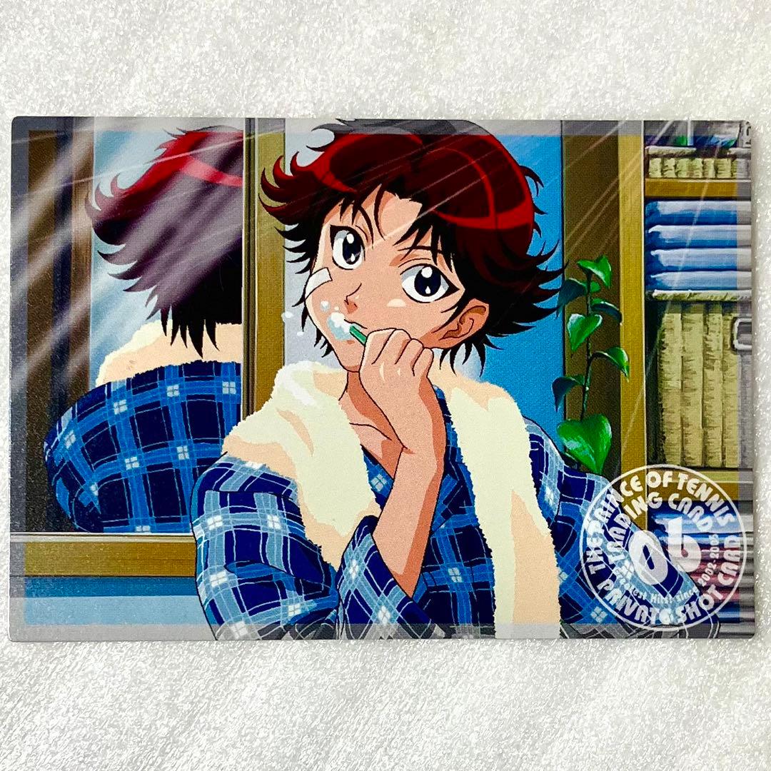 新テニスの王子様 テニプリ 菊丸英二 トレーディングカード ED 風の
