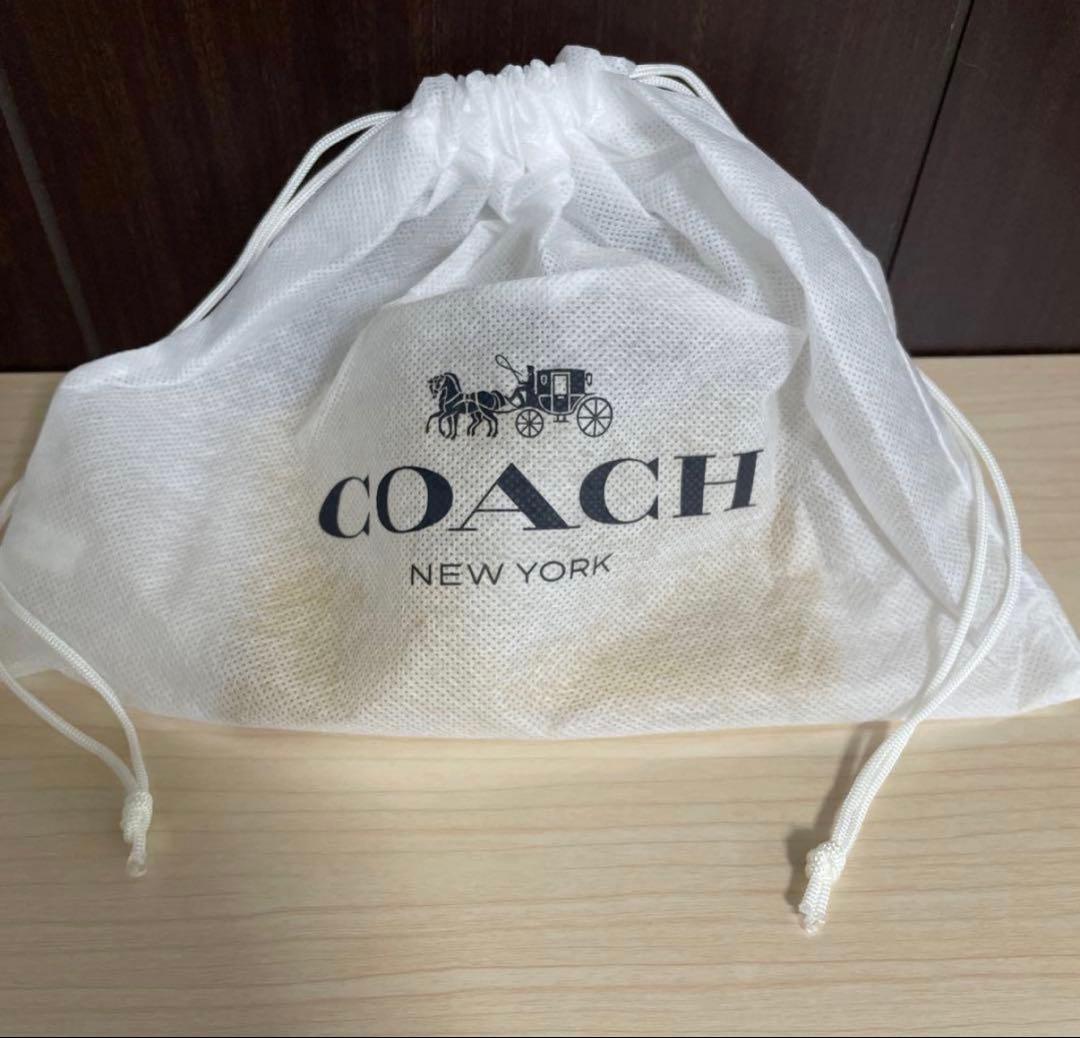 サンタ　コーチ ピーナッツ スヌーピーポーチ　レディース　新品未使用品