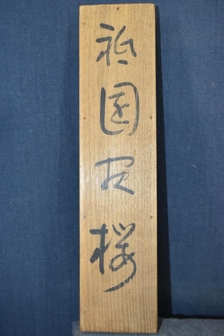 真作】金島桂華/祇園夜桜図/掛軸☆宝船☆Z-731 - メルカリ