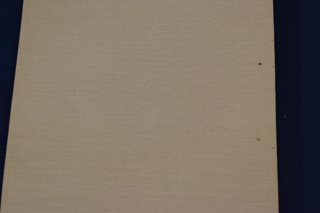 真作】金島桂華/祇園夜桜図/掛軸☆宝船☆Z-731 - メルカリ