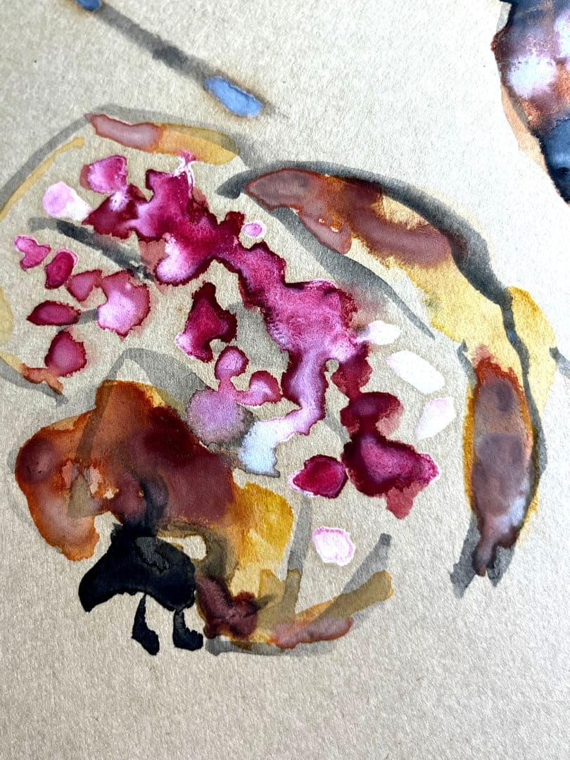 レア　水彩画 鬼頭鍋三郎 柘榴　直筆サイン　肉筆　希少　日本画　古美術