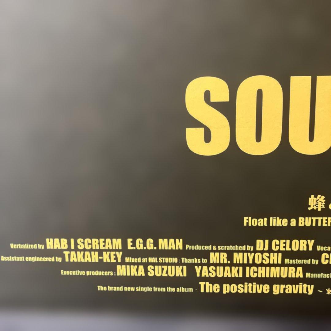 蜂と蝶 / SOUL SCREAM レコード