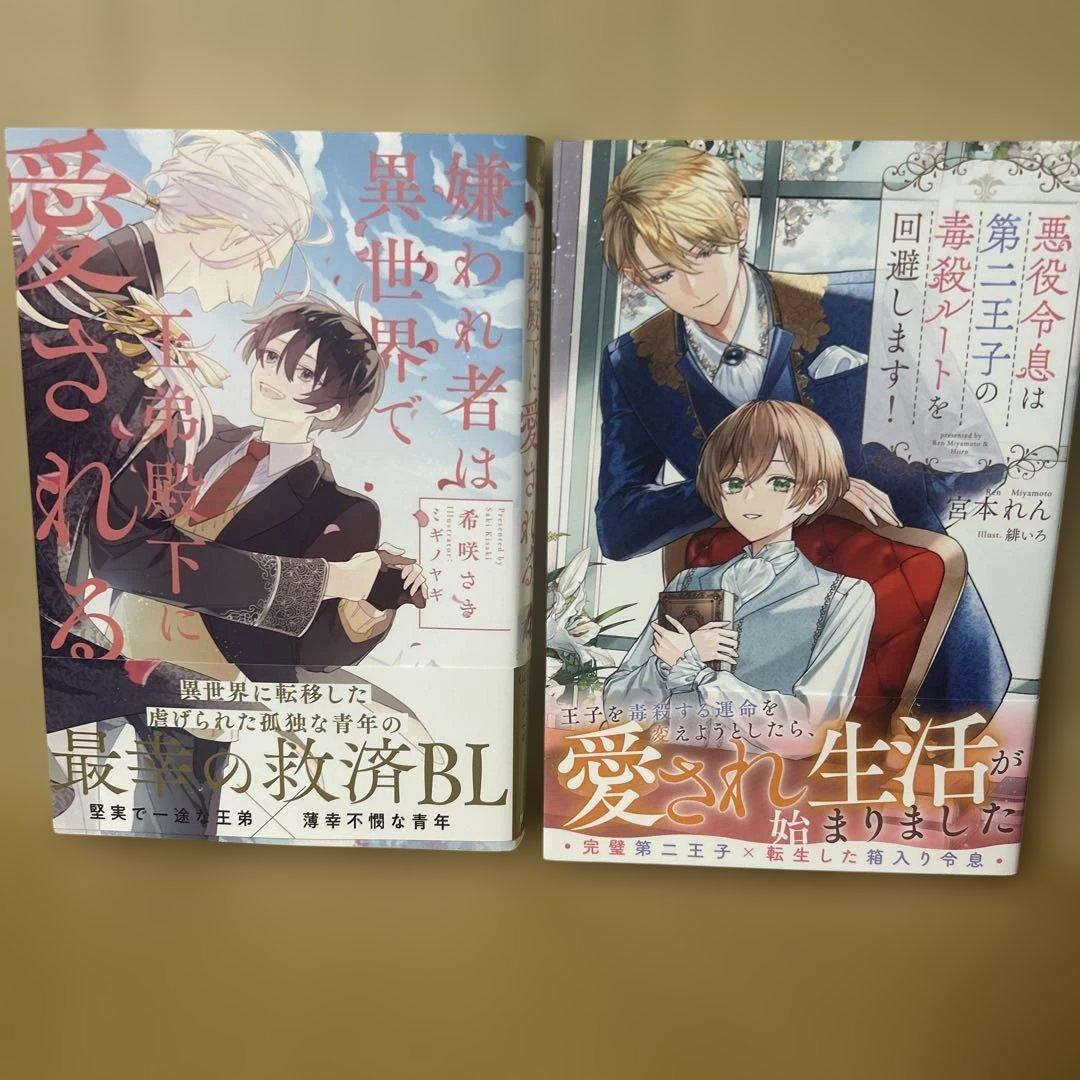 bl 小説纏め売り　15冊セット！