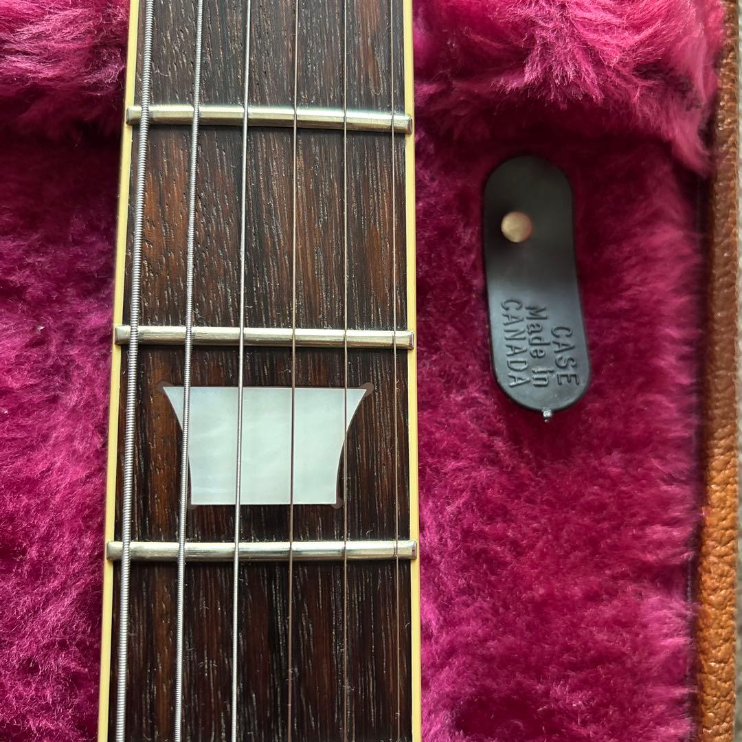 テントウ様専用TOKAI KLS170F