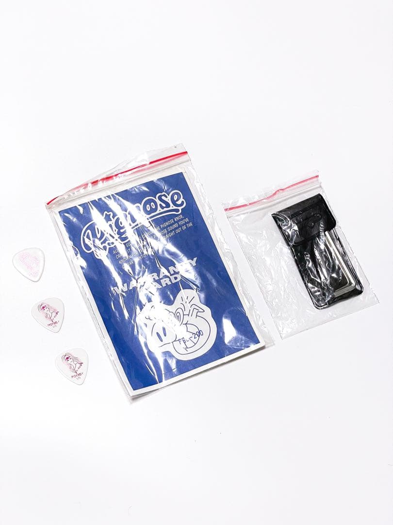 ギター PIGNOSE GUITAR PGG-200 CA