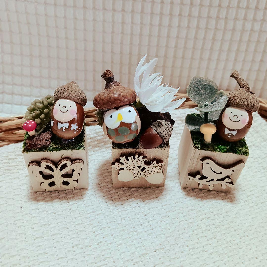 どんぐりアート♡