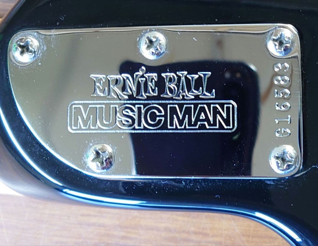 【激レア❗️】Music Man Luke エレキギター カスタム塗装