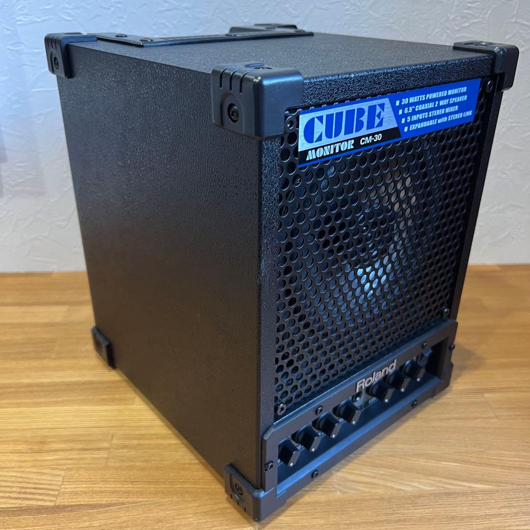 Roland Cube Monitor 30W CM-30 ローランド