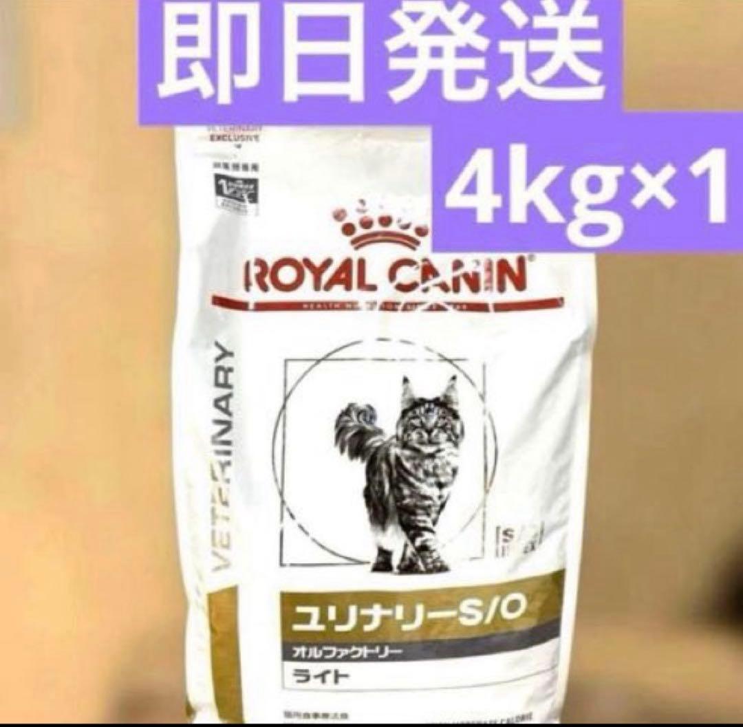 ロイヤルカナン ユリナリー S/O オルファクトリー ライト 4kg 猫用 ユリナリーS/Oオルファクトリーライト 4kg ROYAL CANIN｜ロイヤル