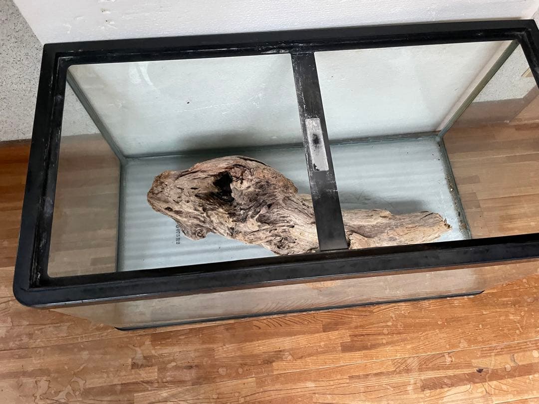 超大型　☆アクアリウム　生花　テラリウム 爬虫類　天然流木 ホーンウッド　⭐︎