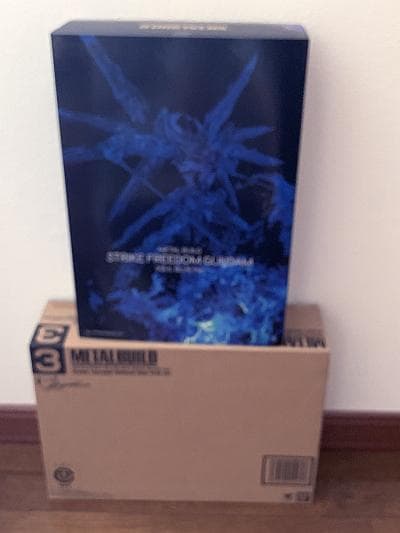 【新品未開封】メタルビルド ストライクフリーダム ソウルブルー プレバン限定