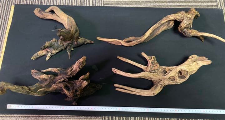 ADAホーンウッド14本