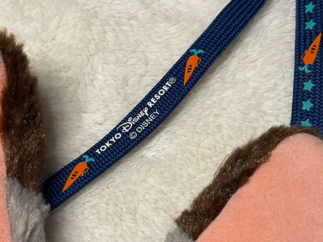 ズートピア パスケース　ニック　ジュディ　2個セット 東京ディズニーリゾート