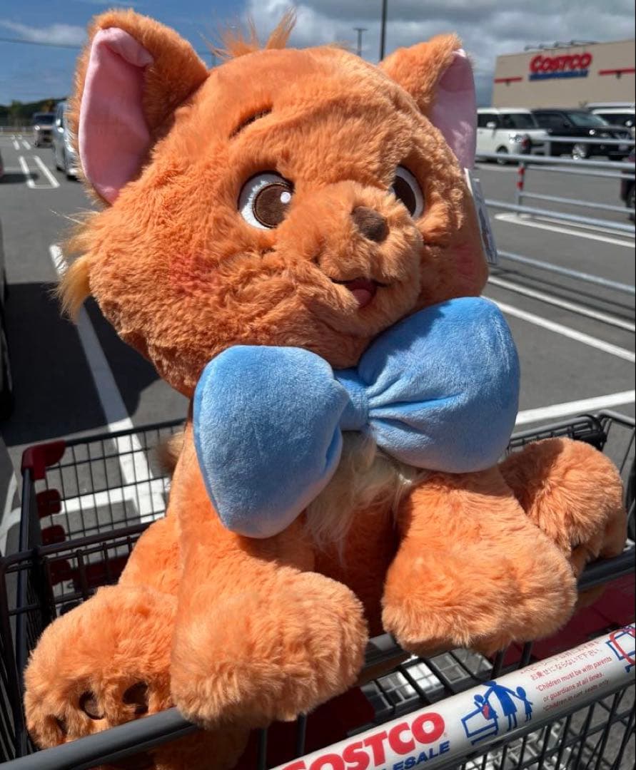 新品タグ付き トゥルーズ ぬいぐるみ ブランケット 付き コストコ