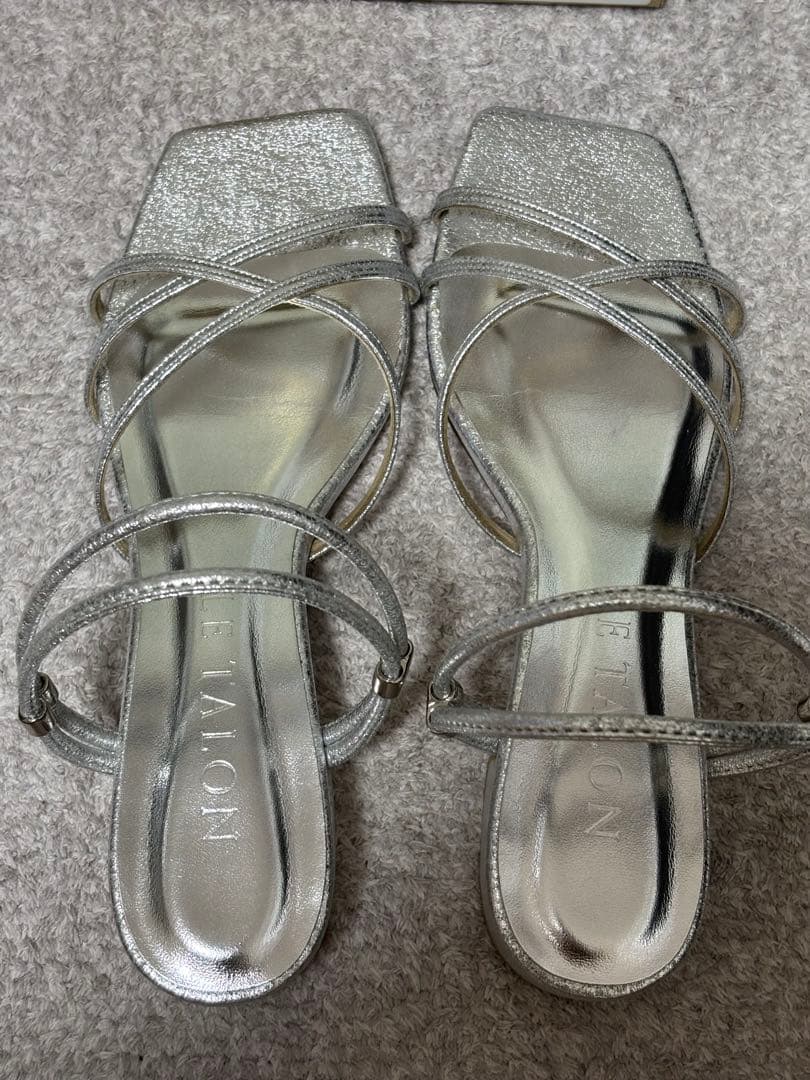 カメルーン産 イネルミスサスマタカブト 25mm