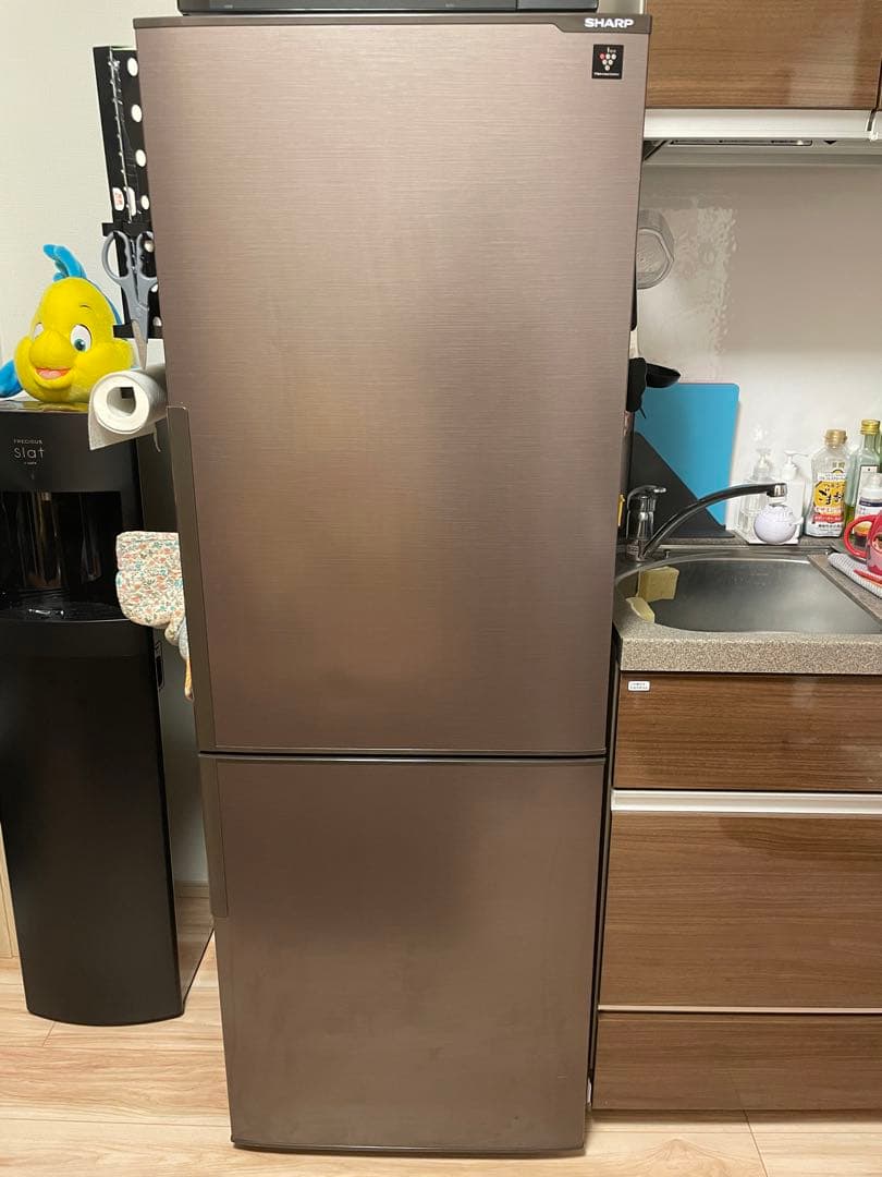 SHARP 冷蔵庫 SJ-MF51M-H 6ドア 505L 2024年式 シャープ 冷蔵庫 505L