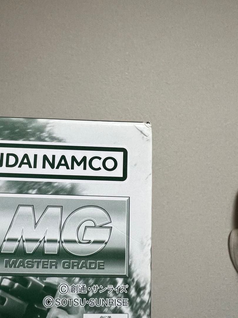 MG 1/100 ブレニフオグス専用ザクII