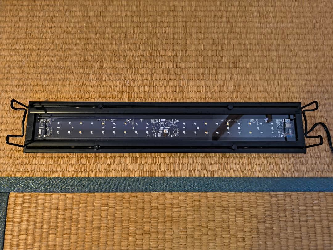 Grassy Wing2 60 Marine/グラッシーウィング2 60マリン